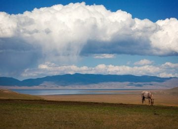 Horse riding on Son Kul | Travel Land
