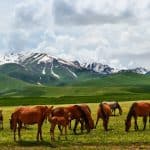 The heart of Kyrgyzstan - Gallery 8