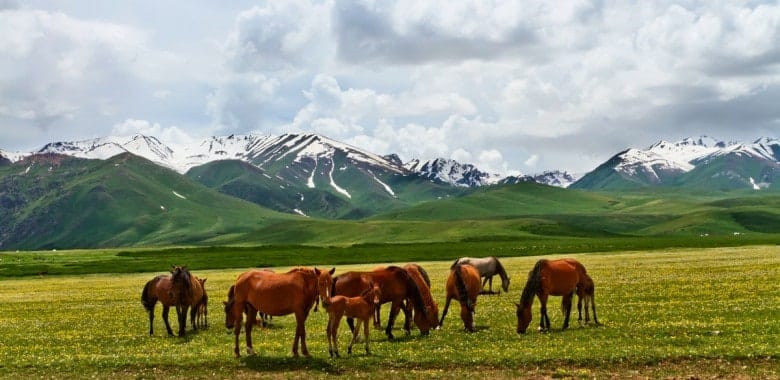 Tag 9. Kysyl Oy – Bischkek (ca. 200 km., 4-5 St.)
