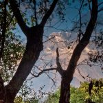 Foresta di noci di Arslanbob - Галерея 4
